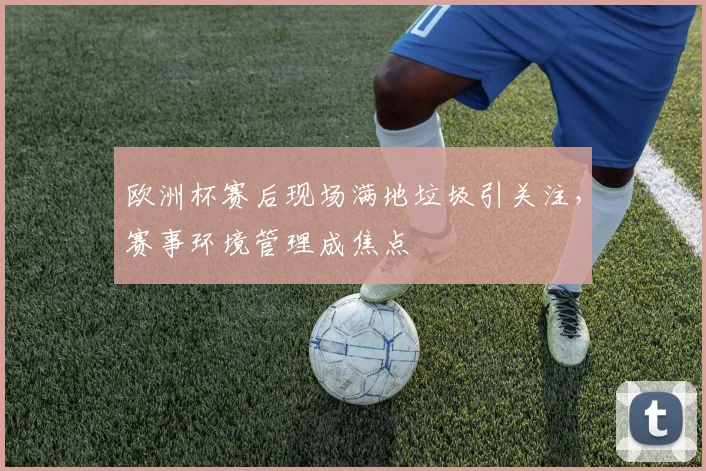 欧洲杯赛后现场满地垃圾引关注，赛事环境管理成焦点
