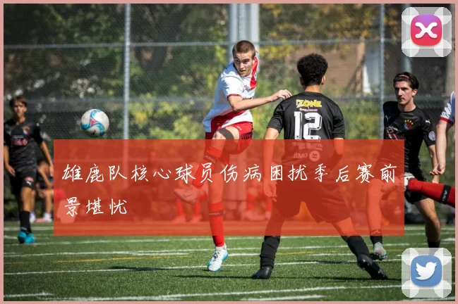 雄鹿队核心球员伤病困扰季后赛前景堪忧