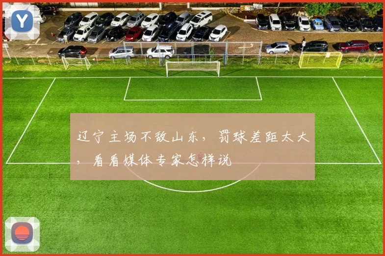 辽宁主场不敌山东，罚球差距太大，看看媒体专家怎样说