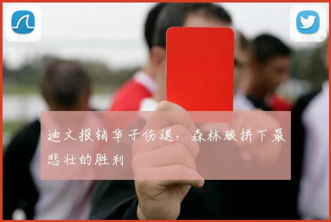 迪文报销华子伤退，森林狼拼下最悲壮的胜利