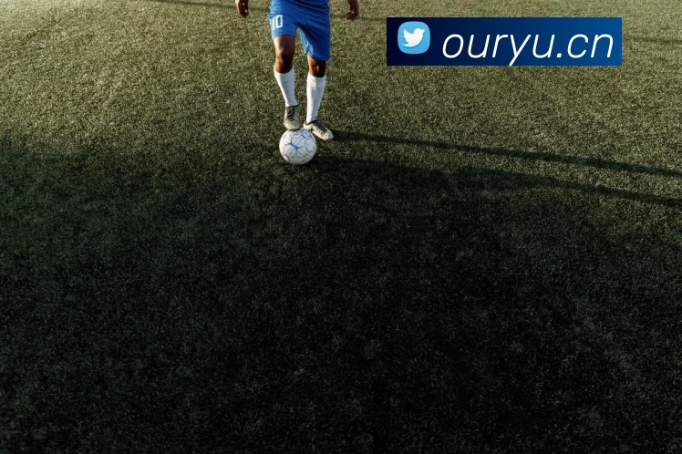 开云·kaiyun体育(中国大陆)官方网站 登录入口平台生态图