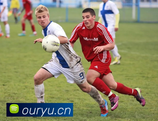 开云·kaiyun体育(中国大陆)官方网站 登录入口APP 封面图